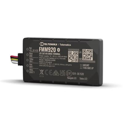 Teltonika FMM920 GPS-Tracker mit 4G CAT M1-Konnektivität