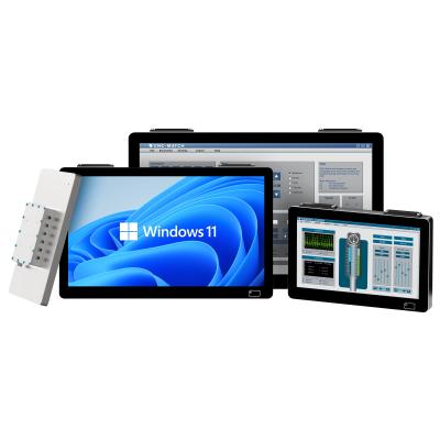 Custom Hygrolion WP3 Edelstahl PPC IP69K